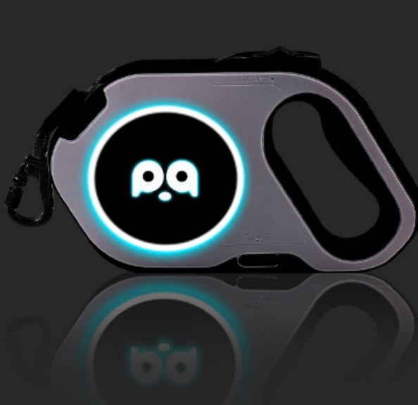 Dog Leash Grey
