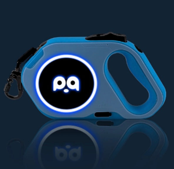 Dog Leash Blue