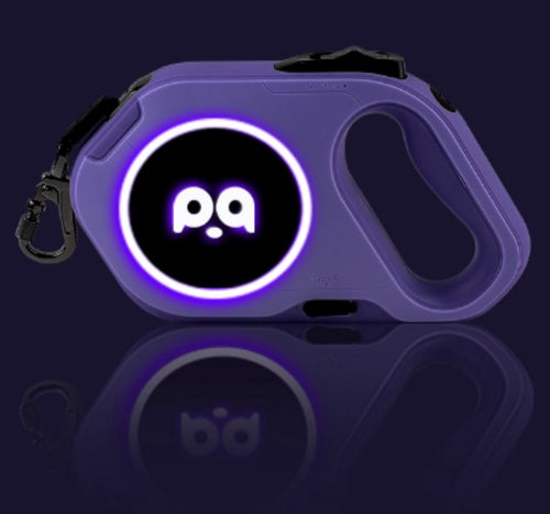Dog Leash Purple